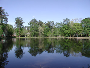 A View of the Lake